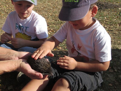 4_20230215114045351 076