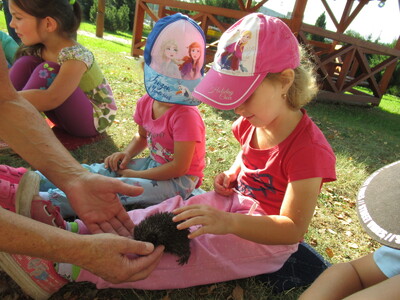 6_20230215114120639 078