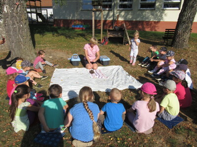 1_20230215113951470 073