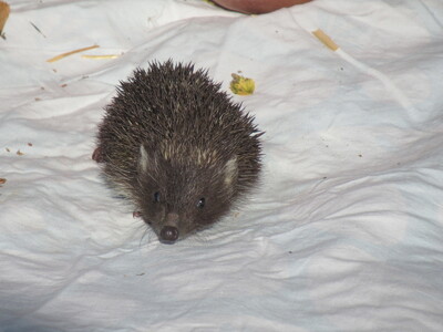 3_20230215114025408 075