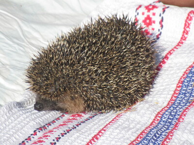 2_20230215114007401 074