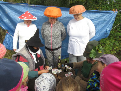 4_20230215113406877 069