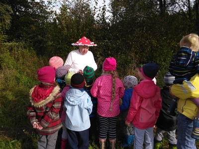 7_20230215113506334 072